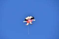 carnival-miguelturra-frying-pan-fruit