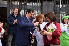 carnaval-miguelturra-fruta-sarten-2023