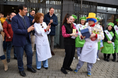 carnaval-miguelturra-fruta-sarten-2023