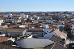 carnival-miguelturra-tarazona-2023