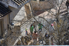 carnaval-miguelturra-tarazona-2023