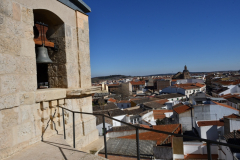 carnaval-miguelturra-tarazona-2023