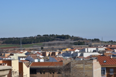 carnival-miguelturra-tarazona-2023