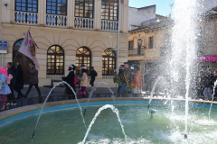 carnaval-miguelturra-tarazona-2023