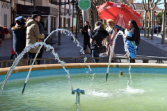 carnaval-miguelturra-tarazona-2023