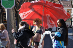 carnaval-miguelturra-tarazona-2023