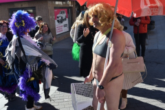 carnaval-miguelturra-tarazona-2023