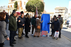 carnaval-miguelturra-tarazona-2023