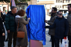 carnaval-miguelturra-tarazona-2023