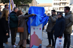 carnaval-miguelturra-tarazona-2023