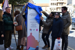 carnaval-miguelturra-tarazona-2023