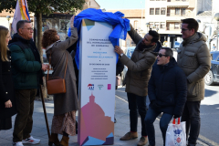 carnaval-miguelturra-tarazona-2023