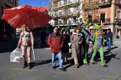 carnaval-miguelturra-tarazona-2023