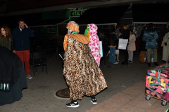 carnaval-miguelturra-jornadas-culturales-2024