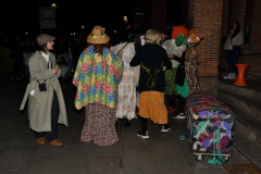carnaval-miguelturra-jornadas-culturales-2024