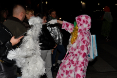 carnaval-miguelturra-jornadas-culturales-2024