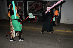 carnaval-miguelturra-jornadas-culturales-2024