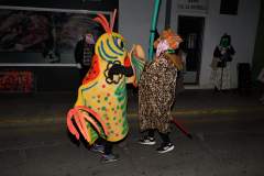 carnaval-miguelturra-jornadas-culturales-2024