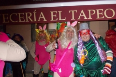carnaval-miguelturra-mascaras-callejeras-2016
