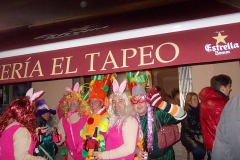 carnaval-miguelturra-mascaras-callejeras-2016