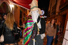 carnaval-miguelturra-mascaras-callejeras-2017