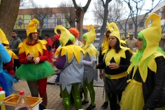 carnaval-miguelturra-mascaras-callejeras-2017