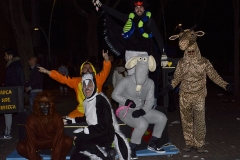 carnaval-miguelturra-mascaras-2018