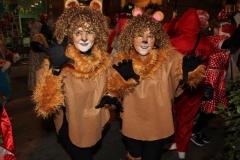 carnaval-miguelturra-mascaras-callejeras-2019