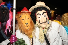 carnaval-miguelturra-mascaras-callejeras-2019