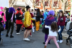 carnaval-miguelturra-mascaras-callejeras-2020-018