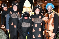 carnaval-miguelturra-mascaras-callejeras-2020