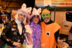carnaval-miguelturra-mascaras-callejeras-2020
