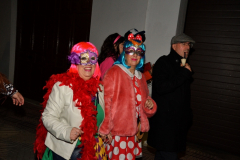 carnaval-miguelturra-mascaras-callejeras-2024