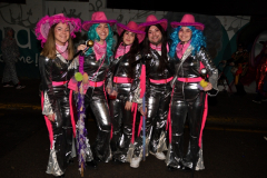 carnaval-miguelturra-mascaras-callejeras-2024