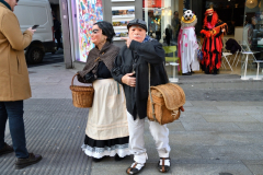 carnaval-miguelturra-mascaras-calles-madrid
