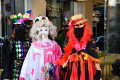 carnaval-miguelturra-mascaras-calles-madrid