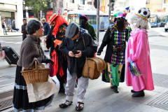 carnaval-miguelturra-mascaras-calles-madrid