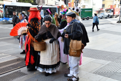 carnaval-miguelturra-mascaras-calles-madrid