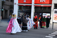 carnaval-miguelturra-mascaras-calles-madrid