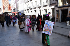 carnaval-miguelturra-mascaras-calles-madrid