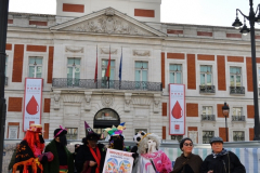 carnaval-miguelturra-mascaras-calles-madrid