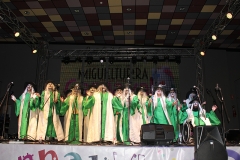carnaval-miguelturra-murgas-chirigotas-2017
