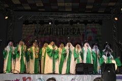 carnival-miguelturra-murgas-chirigotas-2017