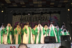 carnival-miguelturra-murgas-chirigotas-2017