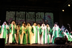 carnival-miguelturra-murgas-chirigotas-2017