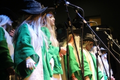 carnival-miguelturra-murgas-chirigotas-2017