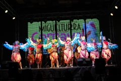 carnaval-miguelturra-murgas-chirigotas-2017