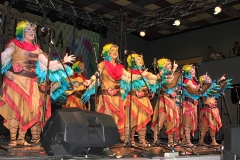 carnaval-miguelturra-murgas-chirigotas-2017