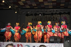 carnaval-miguelturra-murgas-chirigotas-2017