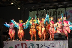 carnaval-miguelturra-murgas-chirigotas-2017
